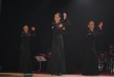 Фламенко для взрослых в Краснодаре (Центр)